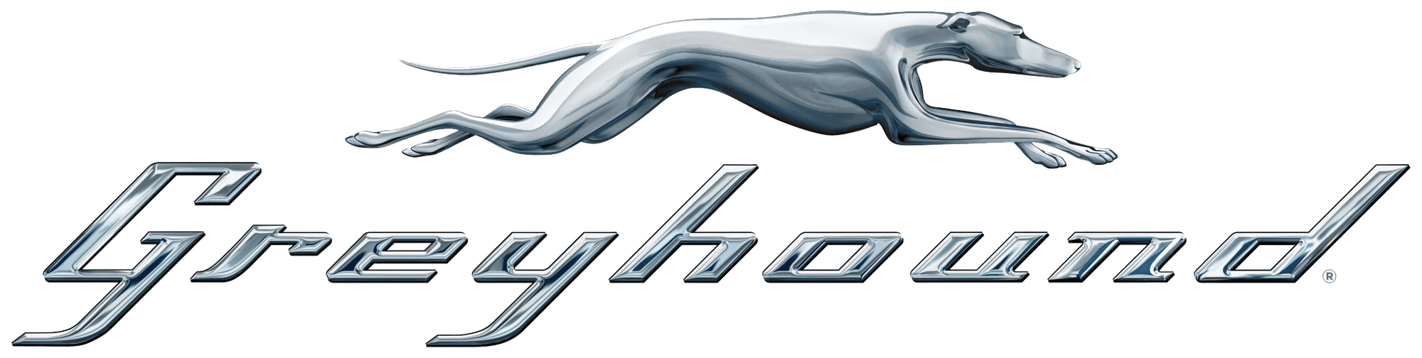 Greyhound