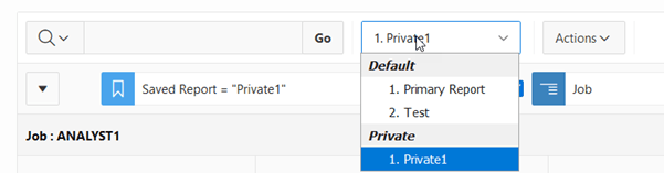 Oracle APEX Private Report Report Selector