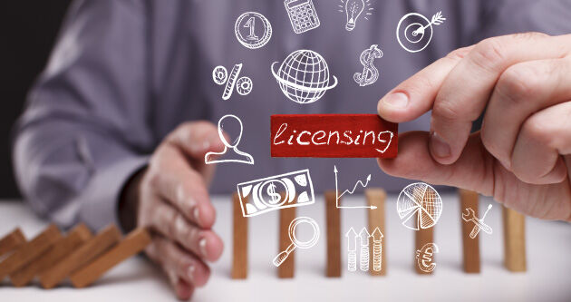 Software Asset Management: the five elements for health Blog Image