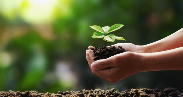 Inoapps Receives Silver in EcoVadis' Supplier Sustainability Ratings Blog Image