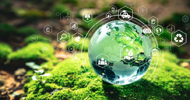Empowering universities to lead on sustainability 