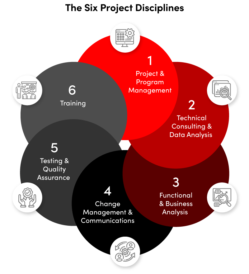 The six project disciplines