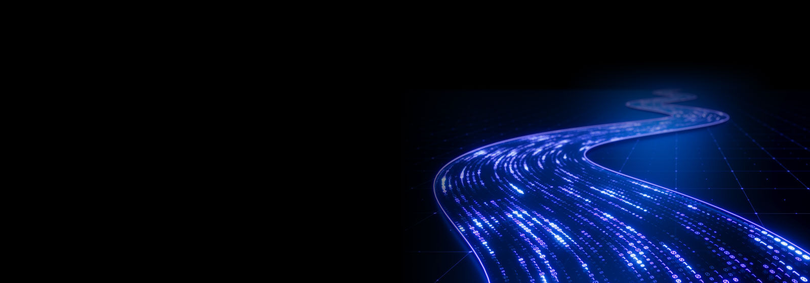 Oracle E-Business Suite services