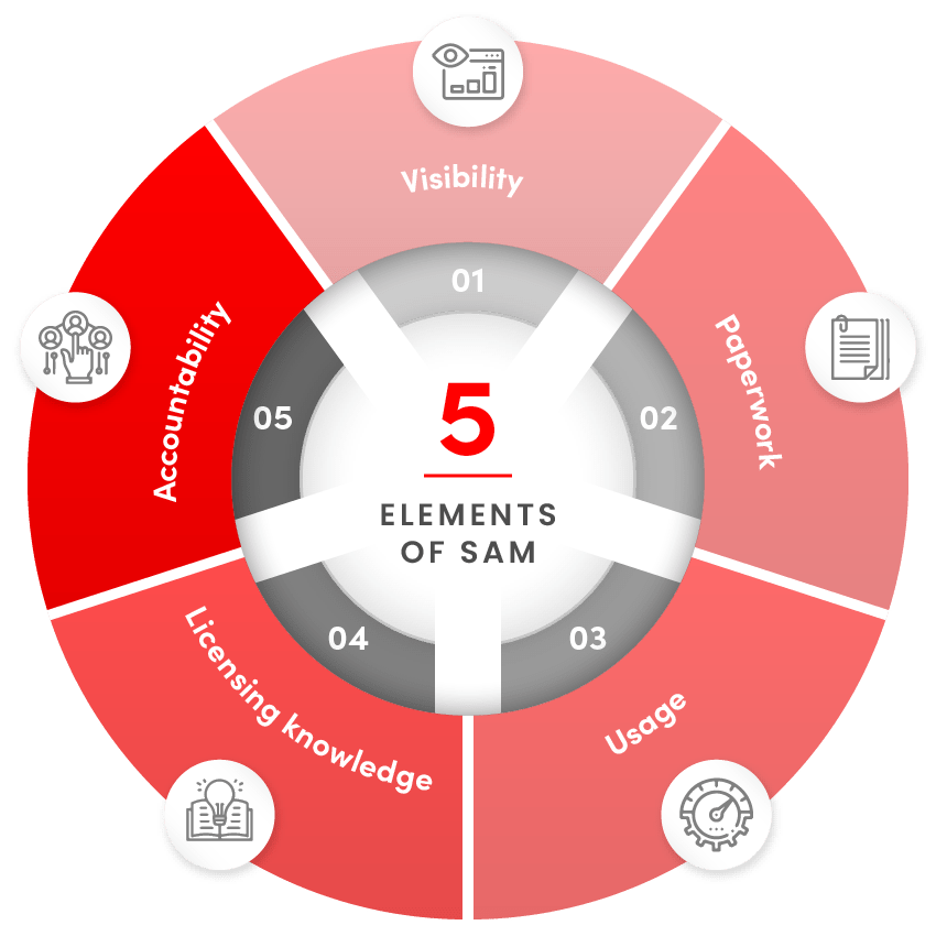 The Five Elements of Software Asset Management